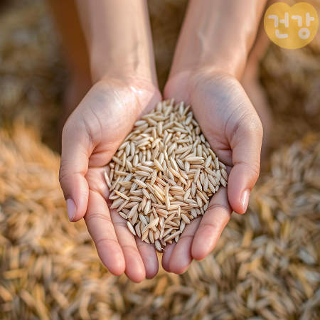 008현미 효능, 현미밥 짓는법, 백미의 차이점, 부작용